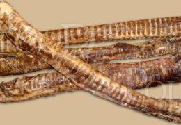 03 Tchawica Wolowa Dluga