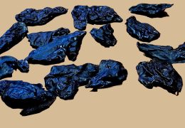 Turkey Liver